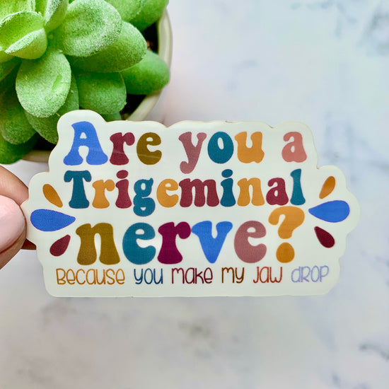 Trigeminal Nerve Sticker