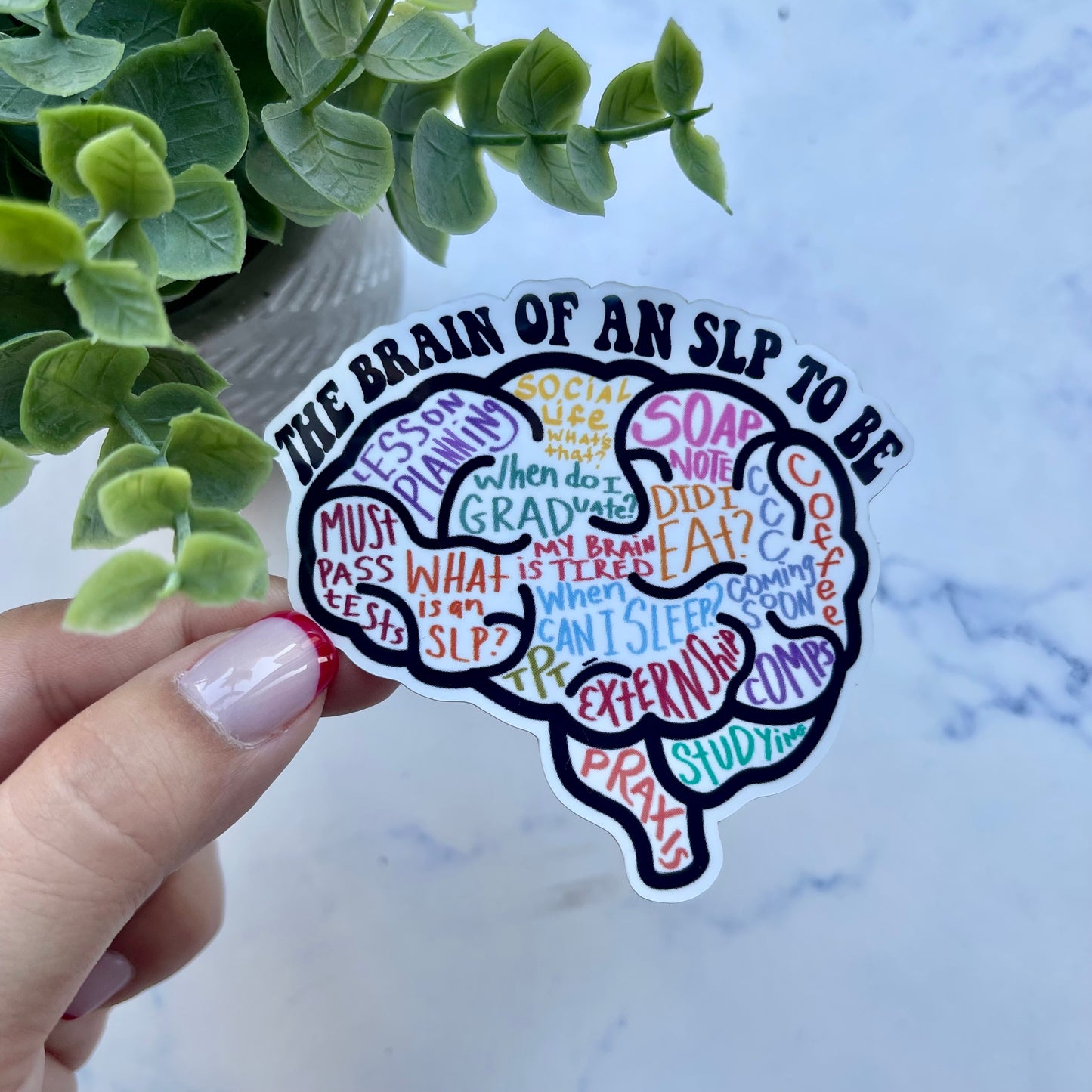 Load image into Gallery viewer, The Brain of an SLP to Be Sticker
