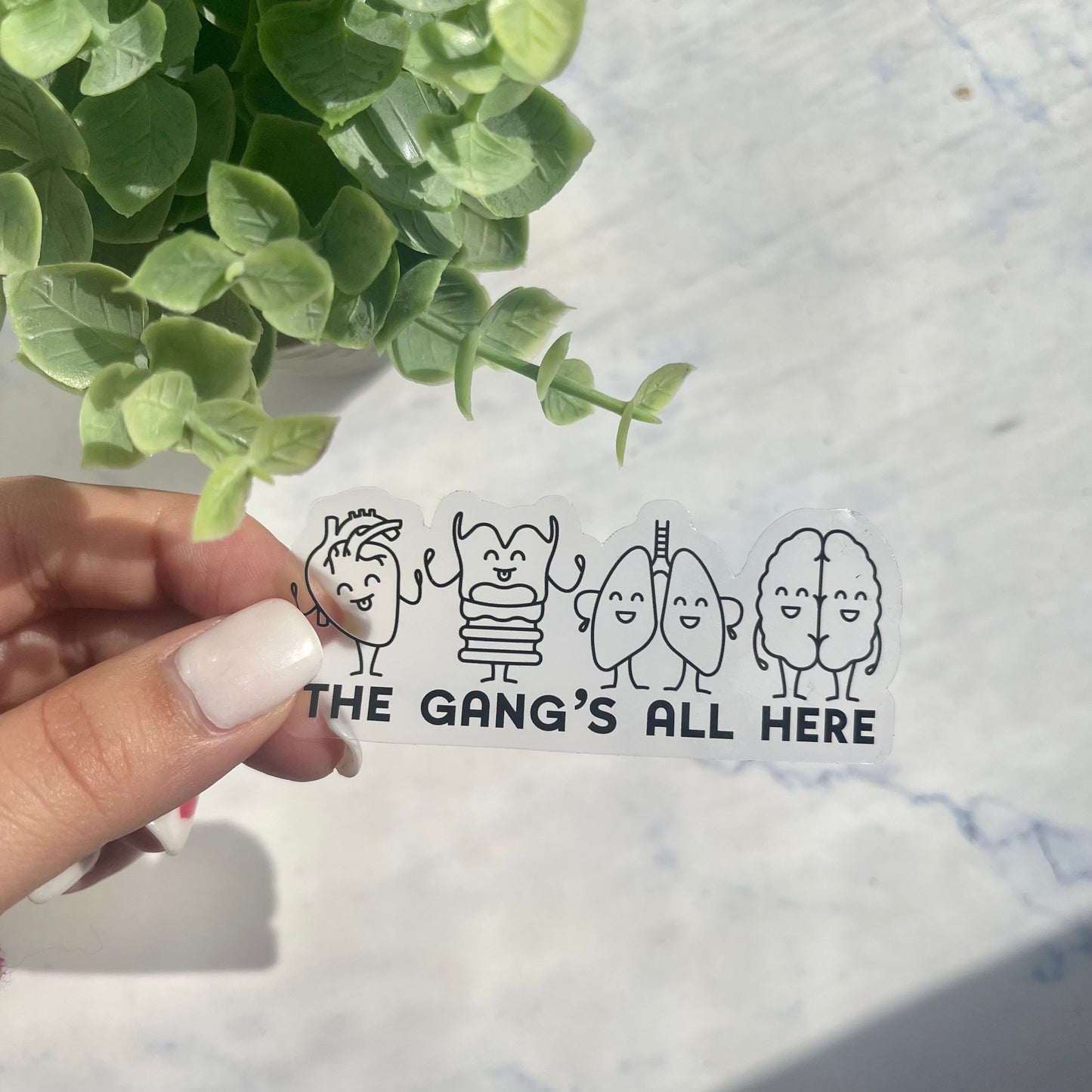 The Gang's All Here Clear Sticker